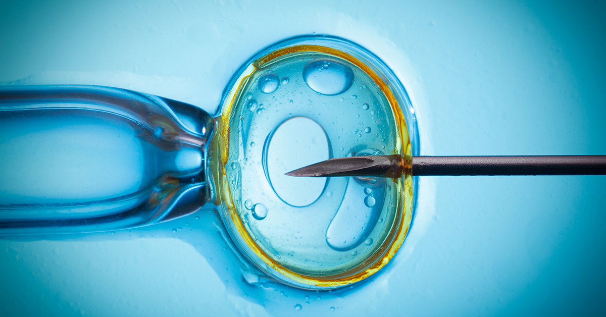 In vitro fertilization, IVF macro concept, shallow dof; blog: How to Prepare for Successful IVF treatment