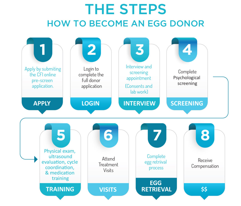 The 8 Steps on How to Become an Egg Donor